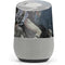 Gothic Queen with Silver Dragon by Nene Thomas Google Home Skin
